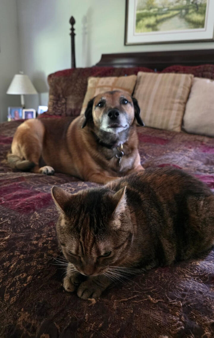 maggie mae and abbie
